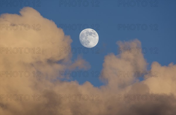 Rising full moon in the evening sky with reddish clouds