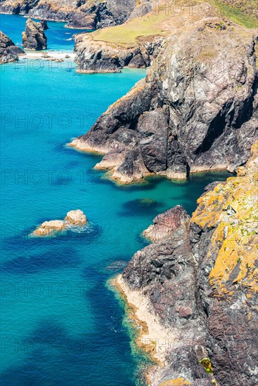 Kynance Cove and Asparagus Island, Cornwall, England, United Kingdom, Europe