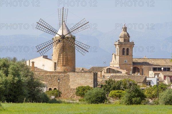 View of Algaida with windmill and church, Majorca, Balearic Islands, Spain, Europe