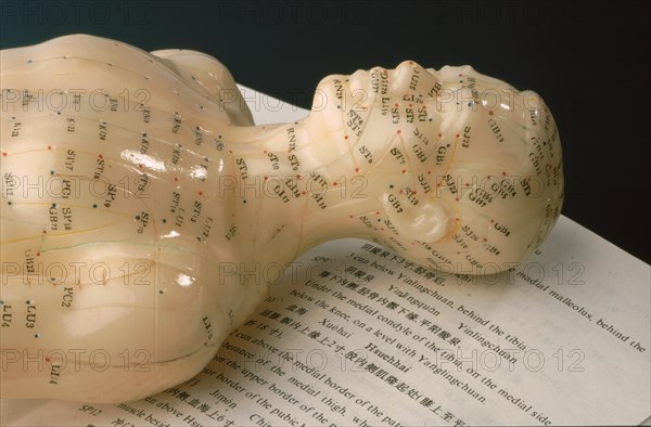 Acupuncture, acupuncture points of the human body, shown on a practice dummy for alternative practitioners