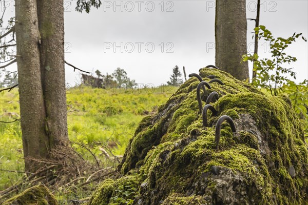 Remains of the ruins of Adolf Hitlers Tannenberg Fuehrer headquarters on Kniebis, the site was blown up after the war, Black Forest, Baiersbronn, Baden-Wuerttemberg, Germany, Europe