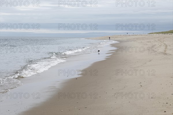 Coastal Landscape, Meadow Beach, Cape Cod, Atlantic Sea, Massachusetts, USA, North America
