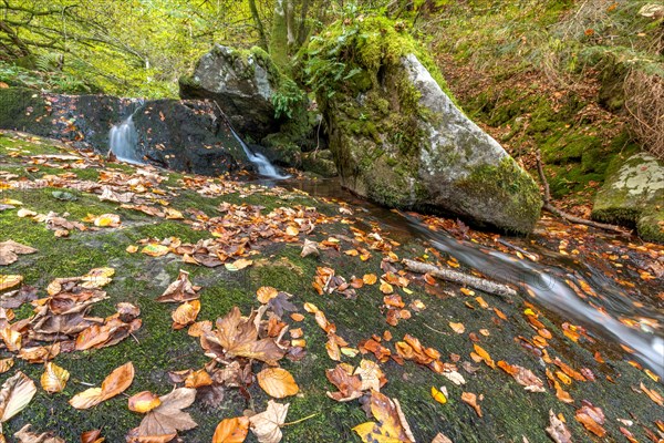 Waterfall falling over Mossy Rocks in the Vosges Mountains. Alsace, France, Europe