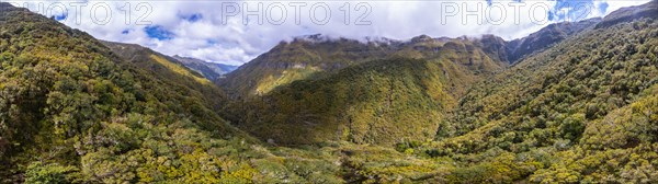 Panorama, Aerial view, Green forest and mountains of Rabacal, Paul da Serra, Madeira, Portugal, Europe