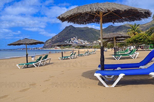 Parasols and palm trees at Playa de las Teresitas beach, San Andres, back of Santa Cruz, Tenerife, Canary Islands, Spain, Europe