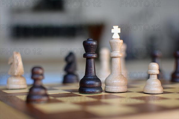 Chess board game with focus on black and white queen pieces on blurry