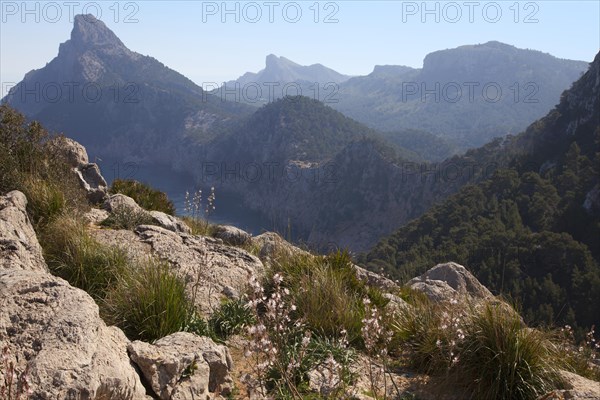 Serra de Tramuntana, Formentor Peninsula, Majorca, Balearic Islands, Spain, Europe