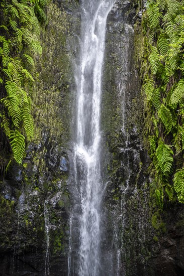 River and waterfall Cascata das 25 Fontes, long exposure, Rabacal, Paul da Serra, Madeira, Portugal, Europe