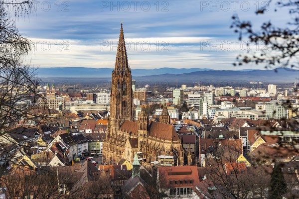 City view with cathedral, Freiburg im Breisgau, Baden-Wuerttemberg, Germany, Europe