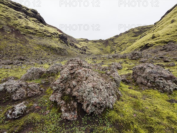 Tjarnargigur crater landscape, moss-covered volcanic landscape, Laki crater landscape, highlands, South Iceland, Suourland, Iceland, Europe