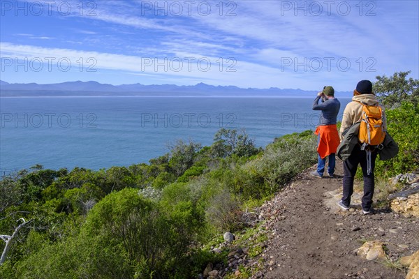 Hikers on Robberg Island, Robberg Peninsula, Robberg Nature Reserve, Plettenberg Bay, Garden Route, Western Cape, South Africa, Africa