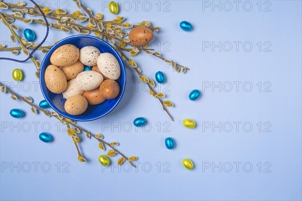Palm catkin with Easter decoration, eggs, blue background, copy room