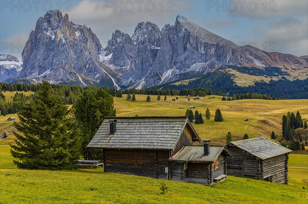 Autumnal meadows and alpine hut on the Alpe di Siusi, behind the snow-covered peaks of the Sassolungo group, Val Gardena, Dolomites, South Tyrol, Italy, Europe