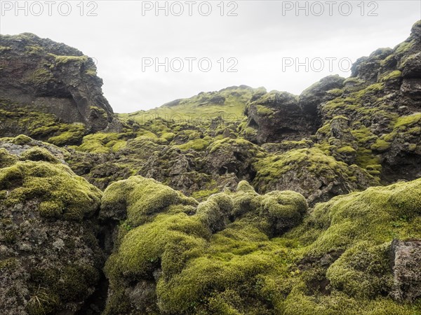 Tjarnargigur crater landscape, moss-covered volcanic landscape, Laki crater landscape, highlands, South Iceland, Suourland, Iceland, Europe