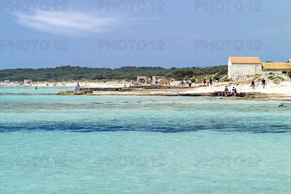 Beach Platja Es Trenc, Municipality of Campos, Majorca, Balearic Islands, Spain, Europe