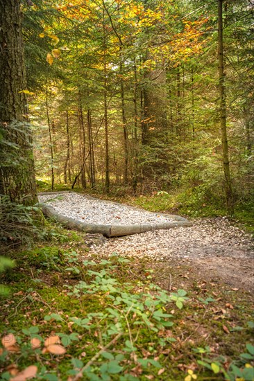 Barefoot Park in the Forest, Schoemberg, Black Forest, Germany, Europe