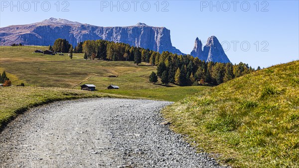 Gravel road on the Alpe di Siusi, behind the peak of the Sciliar, Val Gardena, Dolomites, South Tyrol, Italy, Europe