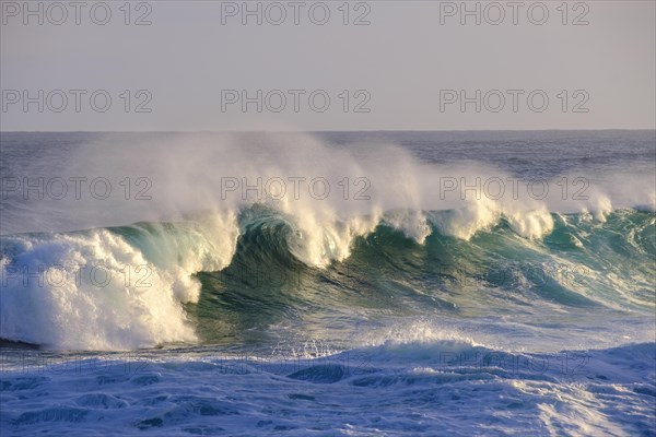 Surf, strong ocean waves, coast at Tsitsikamma National Park, Garden Route, Eastern Cape, South Africa, Africa