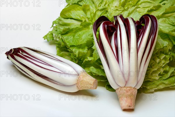 Radicchio in front of endive, Cicorino rosso Tardivo