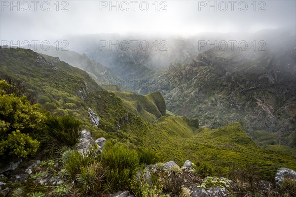 Mountains and ravines with fog, Achada do Teixeira, Madeira, Portugal, Europe