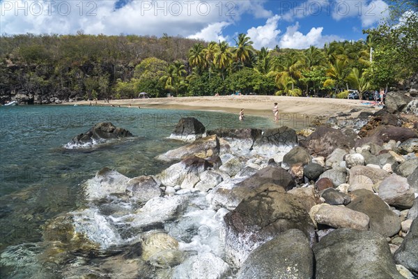 The beach Plage de Petite Anse near Deshaies, Basse-Terre, Guadeloupe, France, North America