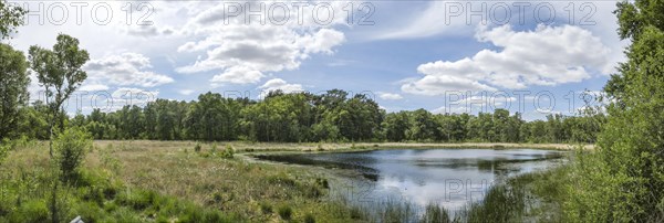 Heideweiher nature reserve and FFH area Fuerstenkuhle, Gescher, Muensterland, North Rhine-Westphalia, Germany, Europe