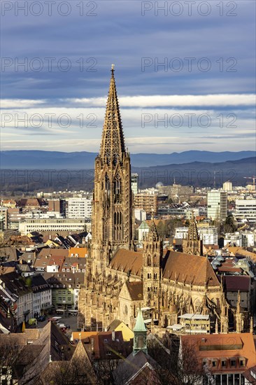 City view with cathedral, Freiburg im Breisgau, Baden-Wuerttemberg, Germany, Europe