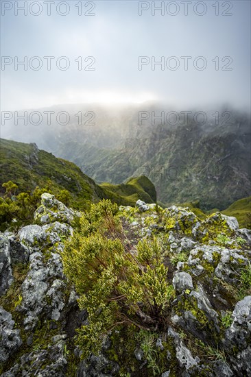 Mountains and ravines with fog, Achada do Teixeira, Madeira, Portugal, Europe