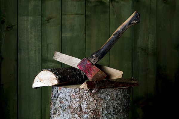 Axe on chopping block with log in front of green wooden wall, studio shot, Germany, Europe