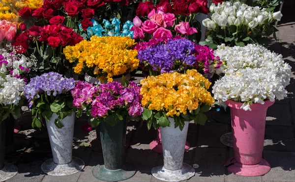 Fresh colorful Flowers put in vases at the florists