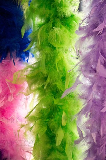 Beautiful bird feathers for decorative purposes