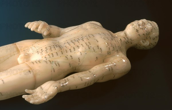 Acupuncture, acupuncture points of the human body, shown on a practice dummy for alternative practitioners