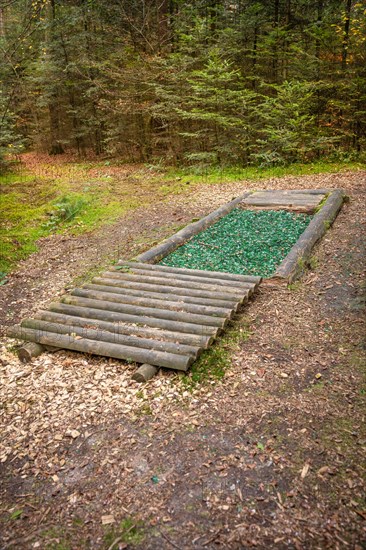 Glass in the Barefoot Park in the Forest, Schoemberg, Black Forest, Germany, Europe