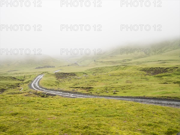 Rough track in the fog, moss-covered volcanic landscape, Laki Crater or Lakagigar, Highlands, South Iceland, Suourland, Iceland, Europe