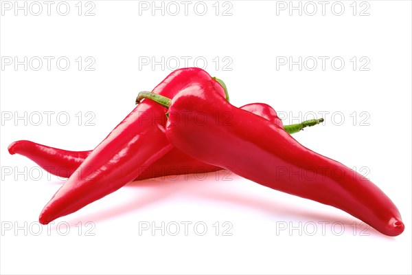Whole red bell pepper capia isolated on white background