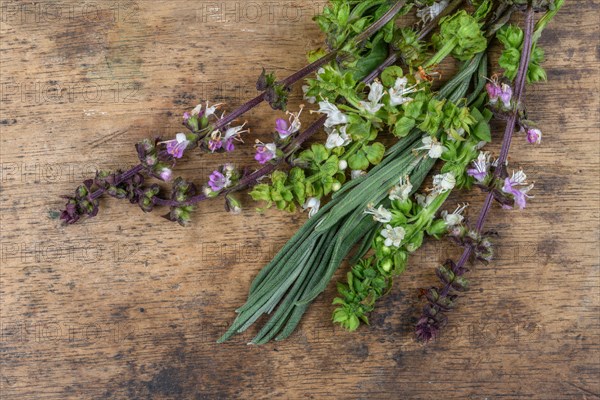 Fresh aromatic herbs on an old wooden floor in a kitchen. Alsace, France, Europe