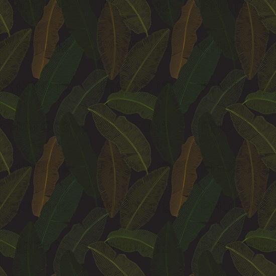 Vector banana leaves seamless pattern within line art style