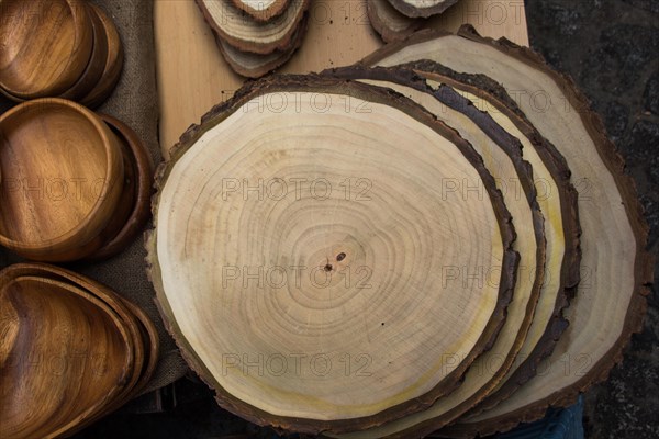 Wood Logs cut in round thin pieces on a white background