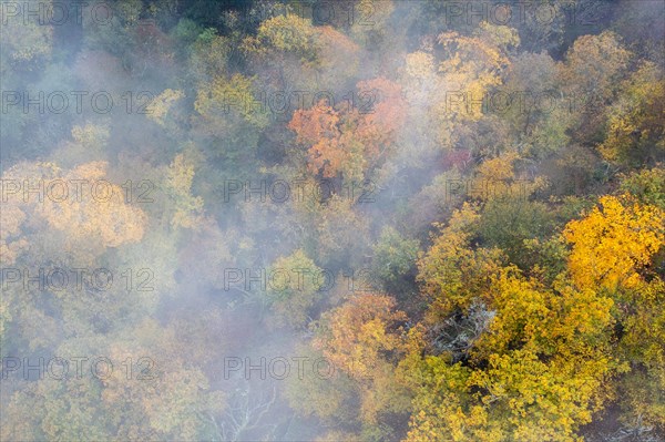 Foggy atmosphere, autumnal forest, aerial view, Thayatal, Hardegg, Lower Austria, Austria, Europe