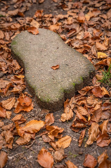 Stone foot in the barefoot park in the forest, Schoemberg, Black Forest, Germany, Europe