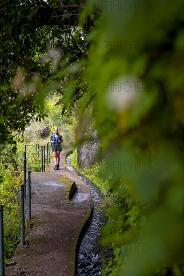 Hiker on Levada do Moinho, Ponta do Sol, Madeira, Portugal, Europe