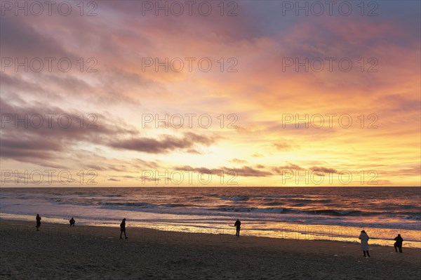 Individual tourists walking on the beach at sunset, Dutch North Sea coast, Bergen aan Zee, province North Holland, Netherlands