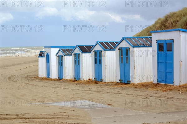Row of white and blue beach sheds on the beach of Texel in the Netherlands