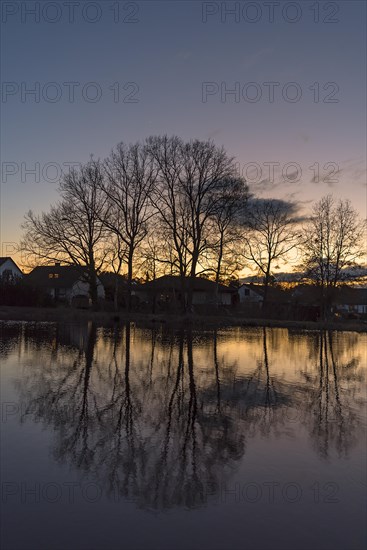 Evening atmosphere at a carp pond, Eckental, Middle Franconia Bavaria, Germany, Europe