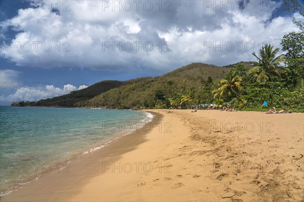 At the beach Plage de Grande Anse near Deshaies in the north of Basse-Terre, Guadeloupe, France, North America