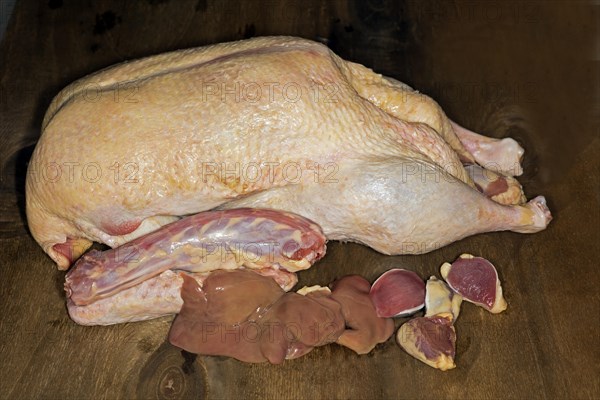 A French Barberie duck, ready for roasting, with giblets, neck, liver, heart and stomach, food photography