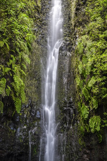 River and waterfall Cascata das 25 Fontes, long exposure, Rabacal, Paul da Serra, Madeira, Portugal, Europe