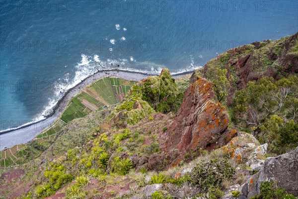 View of coast, Cabo Girao, Europes highest cliff, Madeira