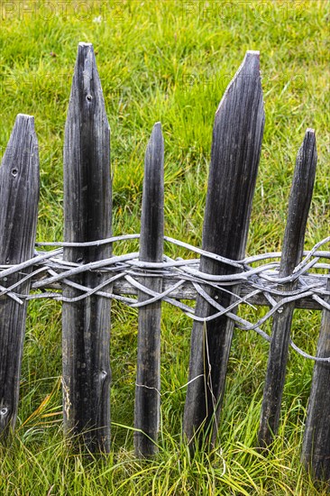 Wooden picket fence, Alpe di Siusi Val Gardena, Dolomites, South Tyrol, Italy, Europe