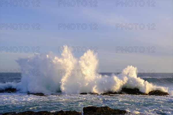 Surf, strong ocean waves, rocks, Schietkliff, Tsitsikamma National Park coast, Garden Route, Eastern Cape, South Africa, Africa